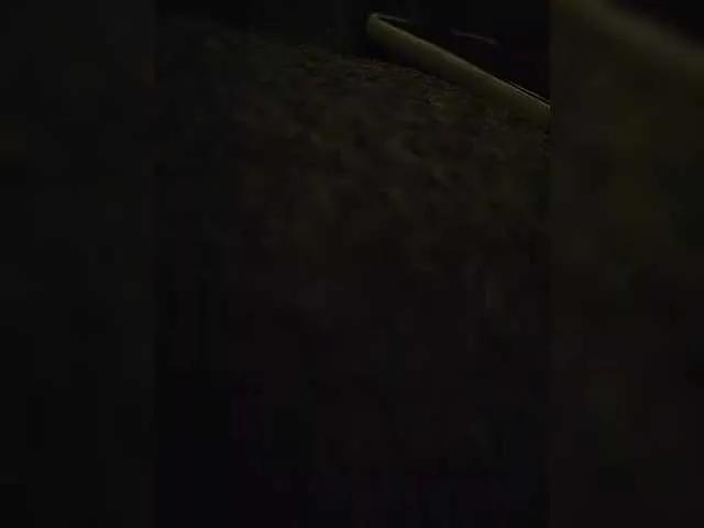 EvelynDreamy — I see myself with a right gentleman, walk down the street by holding hands, my smile says it all.