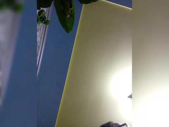 Fox981 — Words about sex, like I want you, etc.