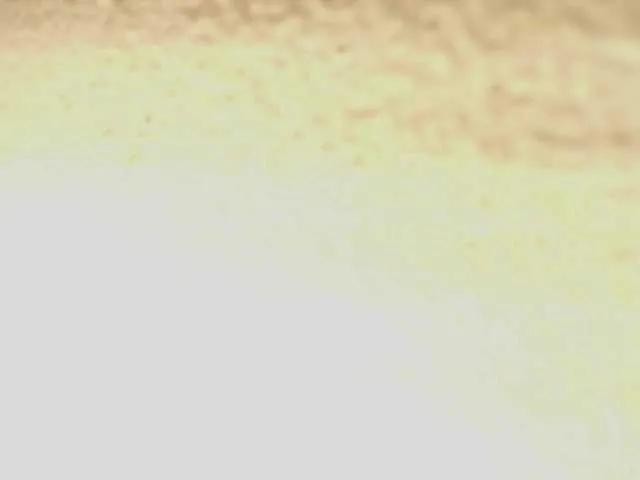 maribelsex303av on BongaCams