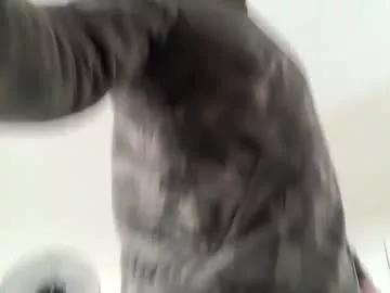 Freechat bigcumcanada on Chaturbate