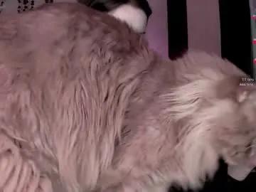 cherry_elfcat on Chaturbate