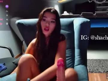 shachatte on Chaturbate