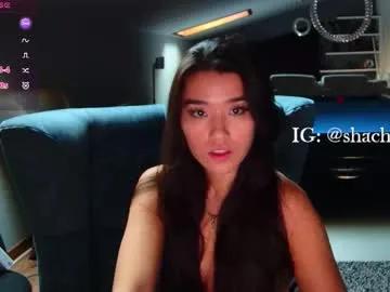 shachatte on Chaturbate