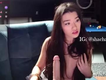 shachatte on Chaturbate