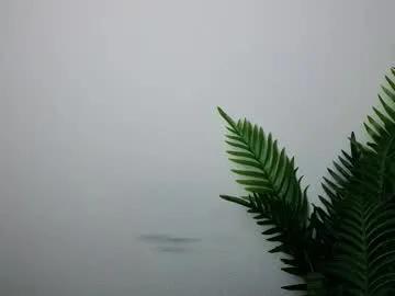 veryveryshygirl on Chaturbate