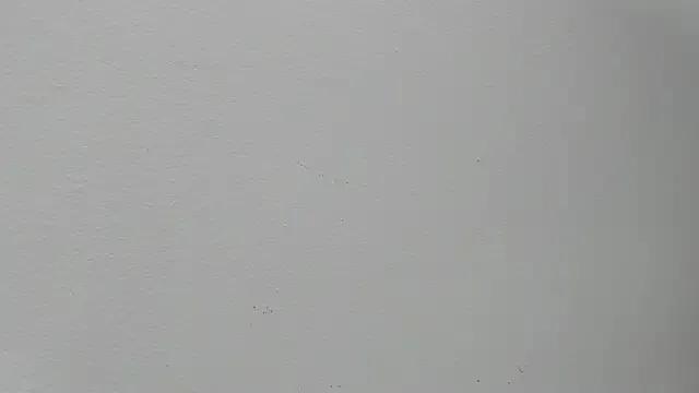 Alejandra_Dunn on StripChat