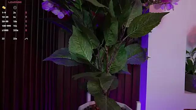 Freechat Anybuny on StripChat