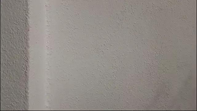 b0uncingb00bs on StripChat