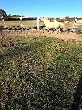 brokecountrylads — cum 4 you