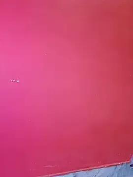 hornyzinia123 on StripChat