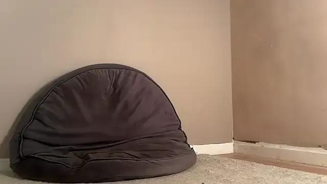 Private jennytwinkle69 on StripChat