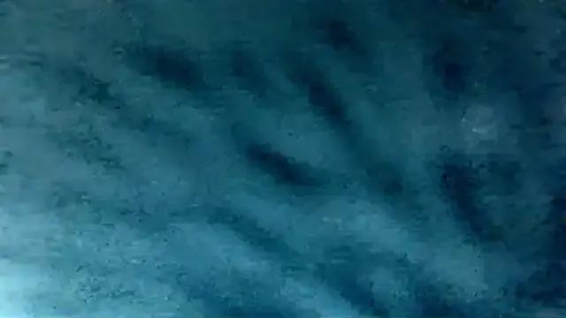 LilaniLoverx — AIR KISS