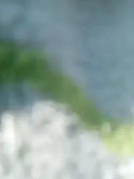 Luckyalice_4u on StripChat