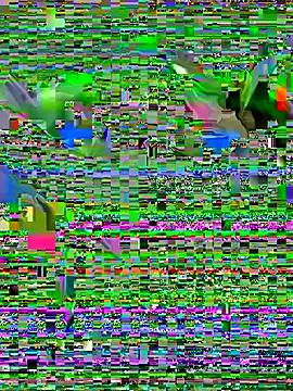 SofiaJoy on StripChat