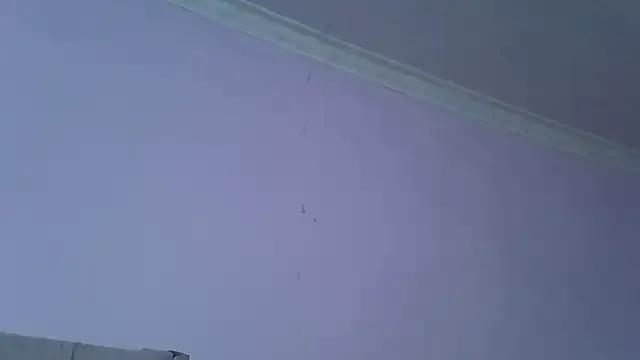 springbock56 on StripChat