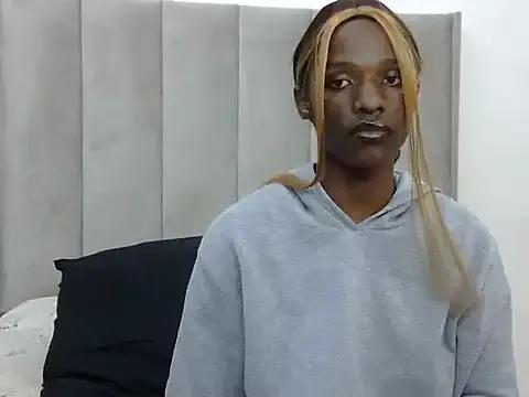 Freechat Trans_fairy on StripChat